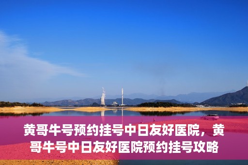 黄哥牛号预约挂号中日友好医院，黄哥牛号中日友好医院预约挂号攻略