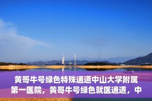 黄哥牛号绿色特殊通道中山大学附属第一医院，黄哥牛号绿色就医通道，中山大学附属第一医院的实践探索