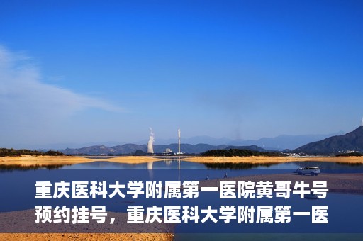 重庆医科大学附属第一医院黄哥牛号预约挂号，重庆医科大学附属第一医院黄哥牛号预约挂号攻略
