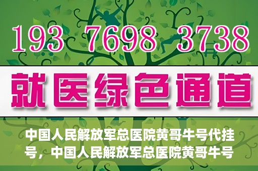 中国人民解放军总医院黄哥牛号代挂号，中国人民解放军总医院黄哥牛号代挂号解析，揭秘挂号背后的故事