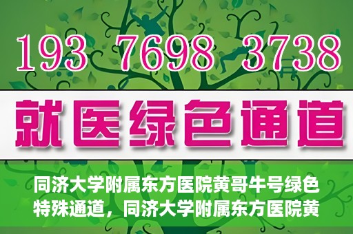 同济大学附属东方医院黄哥牛号绿色特殊通道，同济大学附属东方医院黄哥牛号，绿色特殊通道开启健康之门