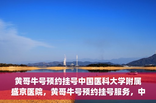 黄哥牛号预约挂号中国医科大学附属盛京医院，黄哥牛号预约挂号服务，中国医科大学附属盛京医院便捷就医新体验