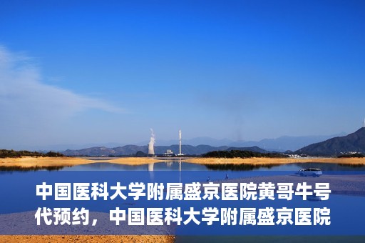 中国医科大学附属盛京医院黄哥牛号代预约，中国医科大学附属盛京医院黄哥牛号预约服务解析