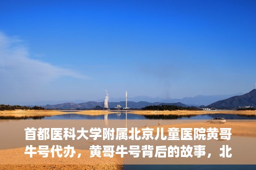 首都医科大学附属北京儿童医院黄哥牛号代办，黄哥牛号背后的故事，北京儿童医院名医背后的故事与探索。