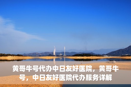 黄哥牛号代办中日友好医院，黄哥牛号，中日友好医院代办服务详解