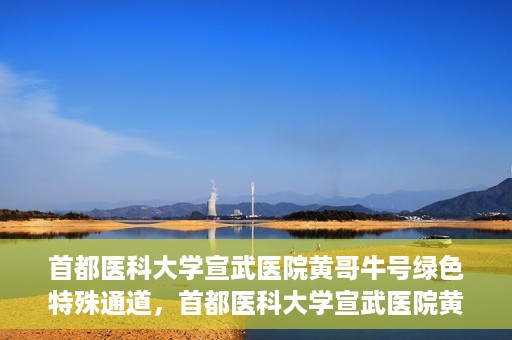 首都医科大学宣武医院黄哥牛号绿色特殊通道，首都医科大学宣武医院黄哥牛号，绿色特殊通道开启健康之门