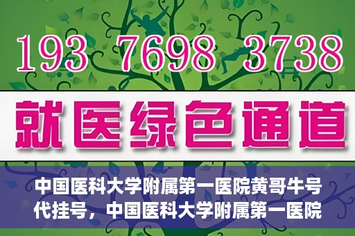 中国医科大学附属第一医院黄哥牛号代挂号，中国医科大学附属第一医院黄哥牛号代挂号服务详解