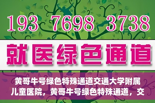 黄哥牛号绿色特殊通道交通大学附属儿童医院，黄哥牛号绿色特殊通道，交通大学附属儿童医院的探索与实践