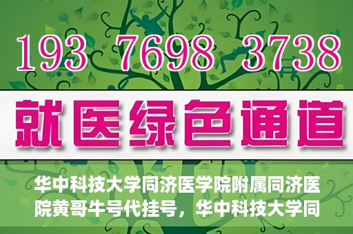 华中科技大学同济医学院附属同济医院黄哥牛号代挂号，华中科技大学同济医院黄哥牛号代挂号背后的故事
