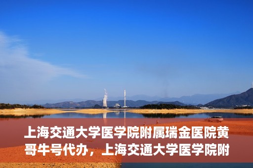 上海交通大学医学院附属瑞金医院黄哥牛号代办，上海交通大学医学院附属瑞金医院黄哥牛号预约代办服务
