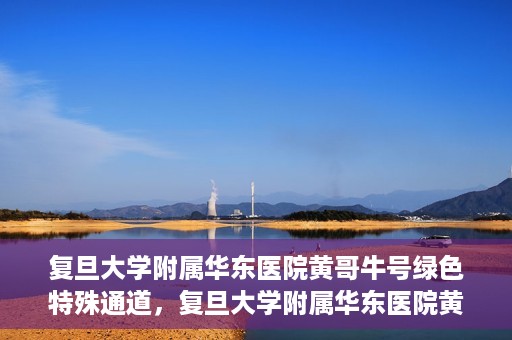 复旦大学附属华东医院黄哥牛号绿色特殊通道，复旦大学附属华东医院黄哥牛号，绿色特殊通道开启健康之门