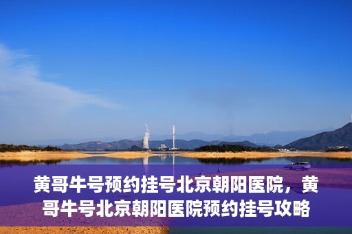 黄哥牛号预约挂号北京朝阳医院，黄哥牛号北京朝阳医院预约挂号攻略