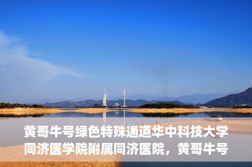 黄哥牛号绿色特殊通道华中科技大学同济医学院附属同济医院，黄哥牛号绿色特殊通道，华中科技大学同济医学院附属同济医院的探索与实践