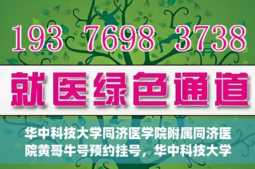 华中科技大学同济医学院附属同济医院黄哥牛号预约挂号，华中科技大学同济医院黄哥牛号预约挂号攻略