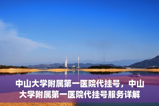 中山大学附属第一医院代挂号，中山大学附属第一医院代挂号服务详解