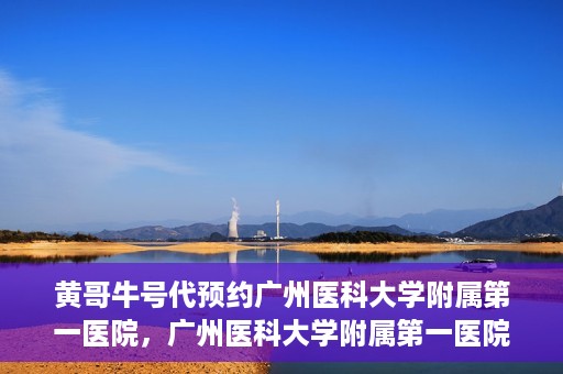 黄哥牛号代预约广州医科大学附属第一医院，广州医科大学附属第一医院黄哥牛号预约启动