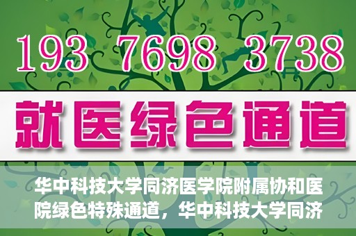 华中科技大学同济医学院附属协和医院绿色特殊通道，华中科技大学同济医学院附属协和医院，绿色特殊通道的探索与实践