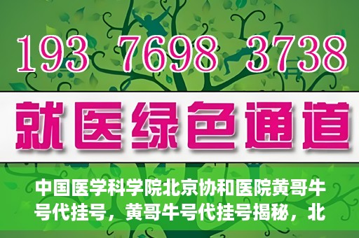 中国医学科学院北京协和医院黄哥牛号代挂号，黄哥牛号代挂号揭秘，北京协和医院挂号背后的故事