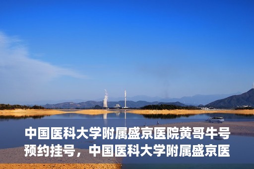 中国医科大学附属盛京医院黄哥牛号预约挂号，中国医科大学附属盛京医院黄哥牛号，预约挂号指南