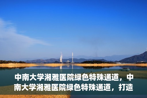 中南大学湘雅医院绿色特殊通道，中南大学湘雅医院绿色特殊通道，打造医疗服务的绿色通道新篇章