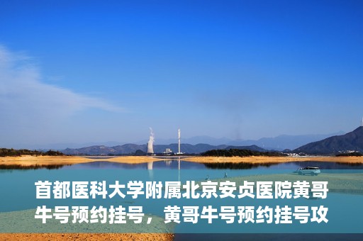 首都医科大学附属北京安贞医院黄哥牛号预约挂号，黄哥牛号预约挂号攻略，首都医科大学附属北京安贞医院就医指南