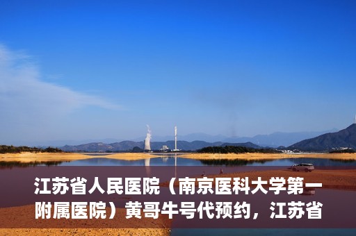 江苏省人民医院（南京医科大学第一附属医院）黄哥牛号代预约，江苏省人民医院（南京医科大学第一附属医院）黄哥牛号预约服务解析