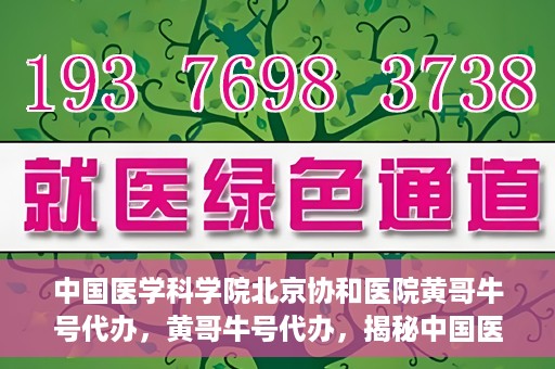 中国医学科学院北京协和医院黄哥牛号代办，黄哥牛号代办，揭秘中国医学科学院北京协和医院背后的故事