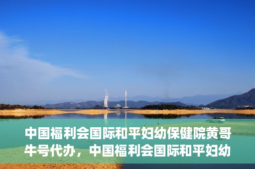 中国福利会国际和平妇幼保健院黄哥牛号代办，中国福利会国际和平妇幼保健院黄哥牛号业务代办全解析