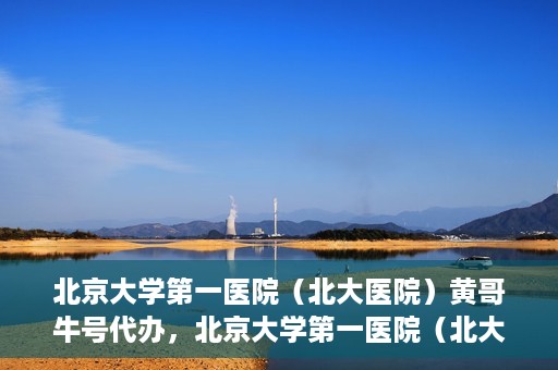 北京大学第一医院（北大医院）黄哥牛号代办，北京大学第一医院（北大医院）黄哥牛号代办，揭秘背后的故事