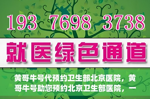 黄哥牛号代预约卫生部北京医院，黄哥牛号助您预约北京卫生部医院，一站式便捷服务开启