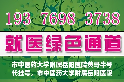 市中医药大学附属岳阳医院黄哥牛号代挂号，市中医药大学附属岳阳医院黄哥牛号代挂号服务解析