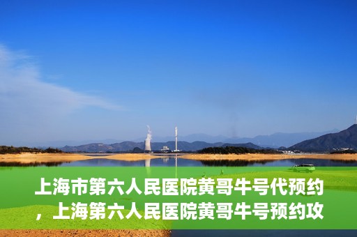 上海市第六人民医院黄哥牛号代预约，上海第六人民医院黄哥牛号预约攻略，轻松解决挂号难题