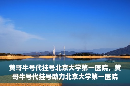 黄哥牛号代挂号北京大学第一医院，黄哥牛号代挂号助力北京大学第一医院就医便捷化
