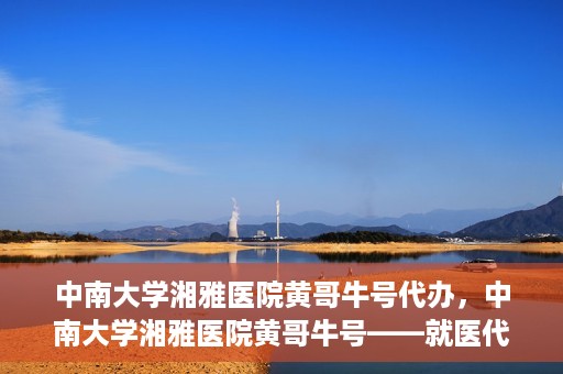 中南大学湘雅医院黄哥牛号代办，中南大学湘雅医院黄哥牛号——就医代办服务详解
