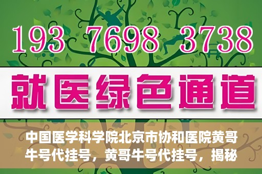中国医学科学院北京市协和医院黄哥牛号代挂号，黄哥牛号代挂号，揭秘中国医学科学院北京市协和医院挂号背后的故事