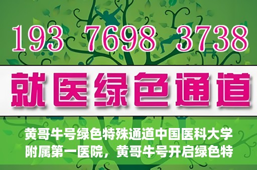 黄哥牛号绿色特殊通道中国医科大学附属第一医院，黄哥牛号开启绿色特殊通道，中国医科大学附属第一医院助力健康中国行动
