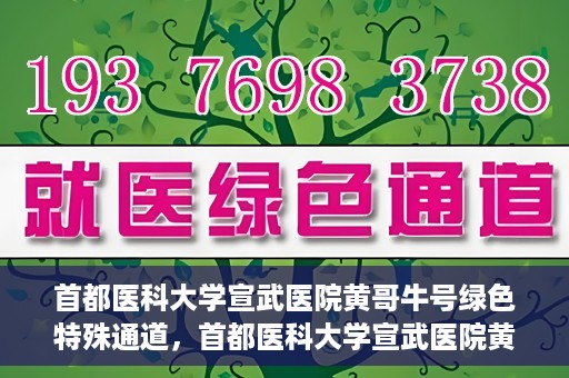 首都医科大学宣武医院黄哥牛号绿色特殊通道，首都医科大学宣武医院黄哥牛号，绿色特殊通道开启健康之门