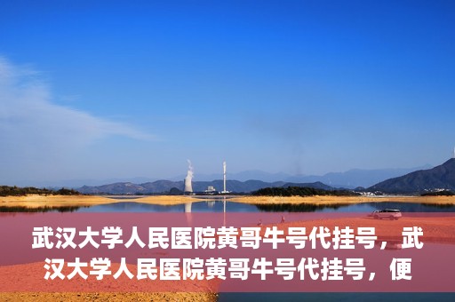 武汉大学人民医院黄哥牛号代挂号，武汉大学人民医院黄哥牛号代挂号，便捷就医背后的故事