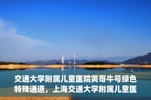 交通大学附属儿童医院黄哥牛号绿色特殊通道，上海交通大学附属儿童医院黄哥牛号绿色特殊通道揭秘