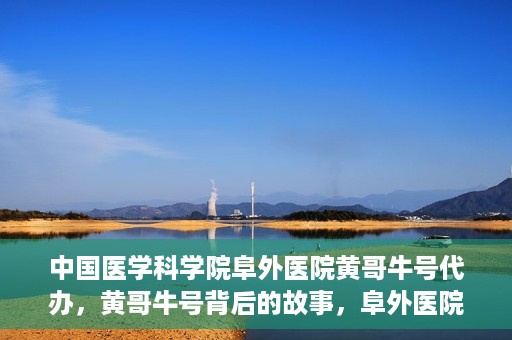 中国医学科学院阜外医院黄哥牛号代办，黄哥牛号背后的故事，阜外医院名医揭秘与医疗服务的深度解读