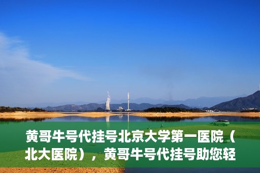 黄哥牛号代挂号北京大学第一医院（北大医院），黄哥牛号代挂号助您轻松预约北京大学第一医院（北大医院）专家号