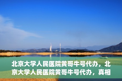 北京大学人民医院黄哥牛号代办，北京大学人民医院黄哥牛号代办，真相揭秘与深度解读