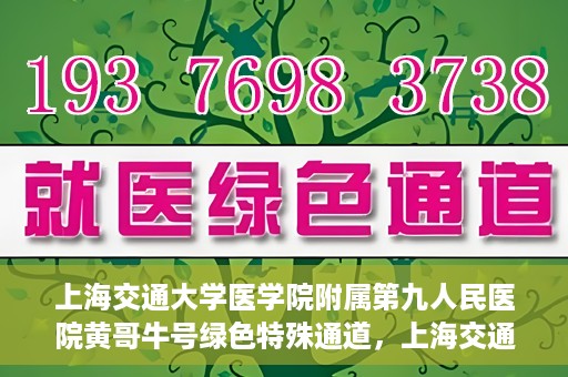 上海交通大学医学院附属第九人民医院黄哥牛号绿色特殊通道，上海交通大学医学院附属第九人民医院黄哥牛号，绿色特殊通道开启健康之门