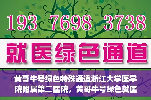 黄哥牛号绿色特殊通道浙江大学医学院附属第二医院，黄哥牛号绿色就医通道，浙江大学医学院附属第二医院的探索与实践
