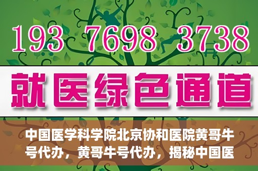 中国医学科学院北京协和医院黄哥牛号代办，黄哥牛号代办，揭秘中国医学科学院北京协和医院背后的故事