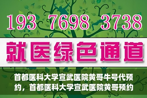 首都医科大学宣武医院黄哥牛号代预约，首都医科大学宣武医院黄哥预约代挂号服务解析