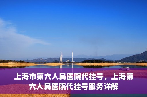 上海市第六人民医院代挂号，上海第六人民医院代挂号服务详解