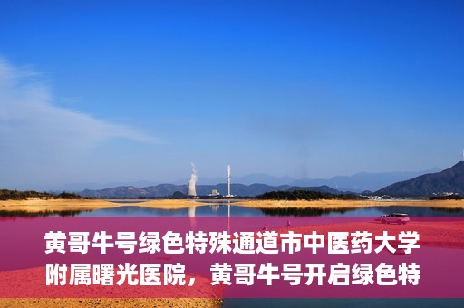 黄哥牛号绿色特殊通道市中医药大学附属曙光医院，黄哥牛号开启绿色特殊通道，市中医药大学附属曙光医院倾力打造健康新篇章