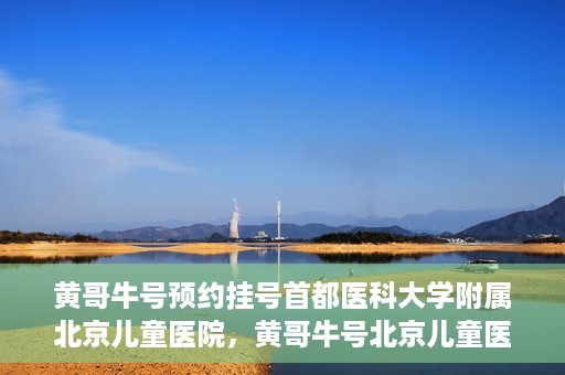 黄哥牛号预约挂号首都医科大学附属北京儿童医院，黄哥牛号北京儿童医院预约挂号攻略，轻松挂号首都医科大学附属北京儿童医院