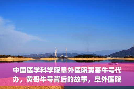 中国医学科学院阜外医院黄哥牛号代办，黄哥牛号背后的故事，阜外医院名医揭秘与医疗服务的深度解读